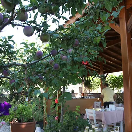 Hotel Alize Bozcaada