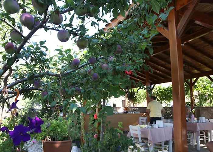 Hotel Alize Bozcaada